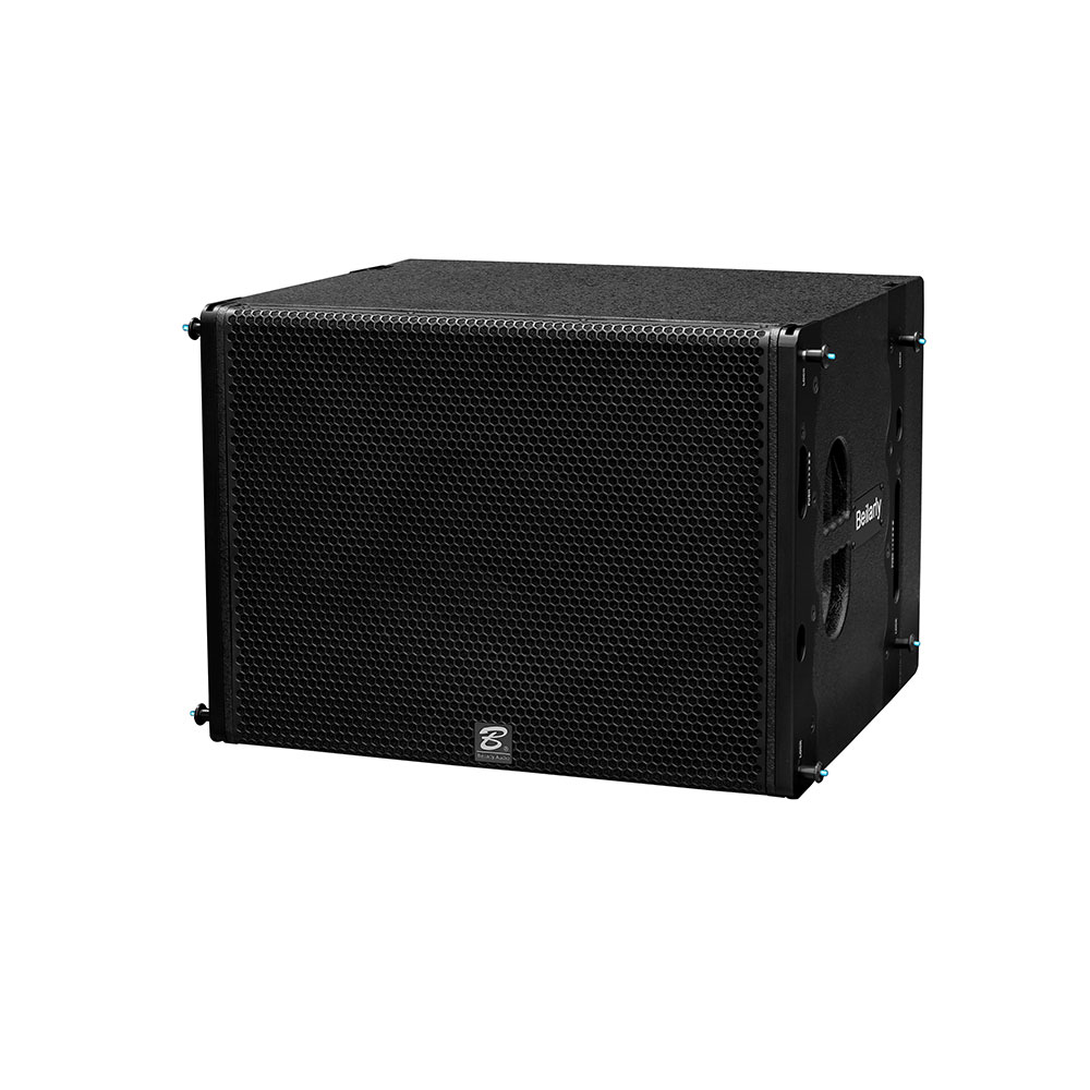 Q2S single 15 inch medium and low line array speaker