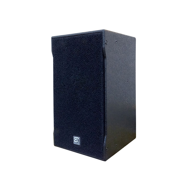 TFA-10 single 10 inch full frequency speaker