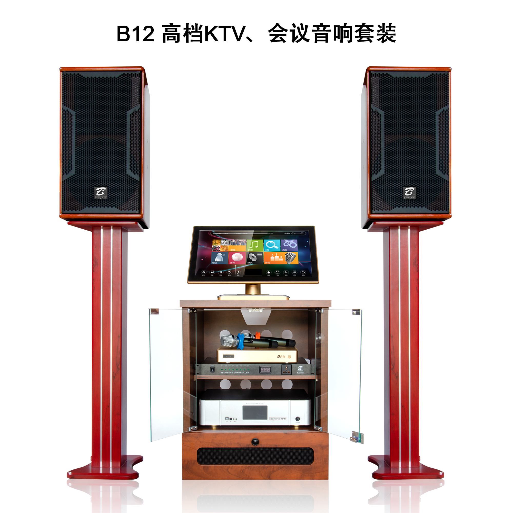 B12 KTV professional audio set